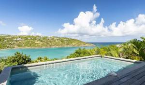Vente Villa Saint-Barthélemy