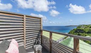 Vente Villa Saint-Barthélemy