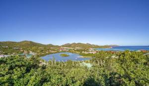 Vente Villa Saint-Barthélemy