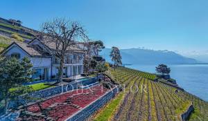 Vente Villa Saint-Saphorin