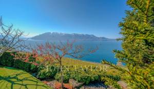 Vente Villa Saint-Saphorin