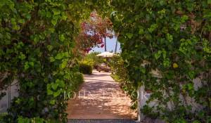 Vente Villa Sant Jordi de Ses Salines