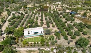 Vente Villa Santa Maria