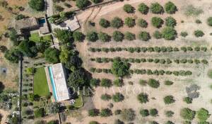 Vente Villa Santa Maria