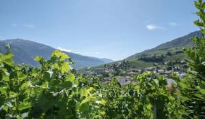 Vente Villa Sierre