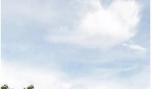 Vente Villa Sotogrande