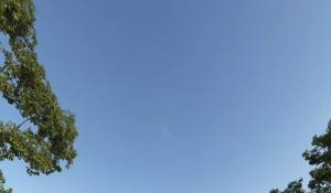 Vente Villa Sotogrande