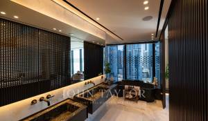 Vente Villa sur toit Business Bay
