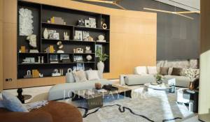 Vente Villa sur toit Business Bay