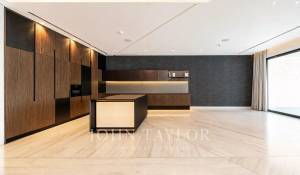 Vente Villa sur toit Business Bay