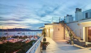 Vente Villa sur toit Cannes