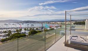 Vente Villa sur toit Cannes