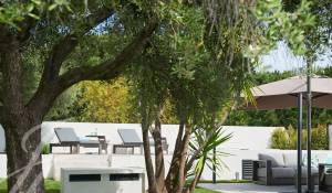Vente Villa sur toit Cannes