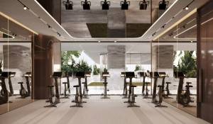 Vente Villa sur toit Dubai