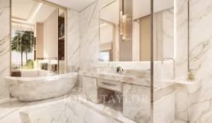 Vente Villa sur toit Dubai