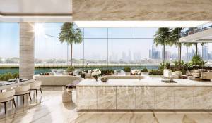 Vente Villa sur toit Dubai