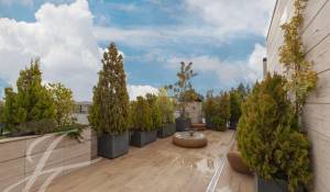 Vente Villa sur toit Madrid