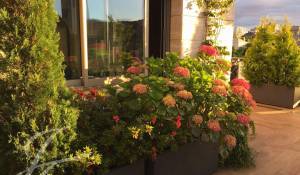 Vente Villa sur toit Madrid