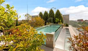 Vente Villa sur toit Madrid