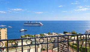 Vente Villa sur toit Monaco