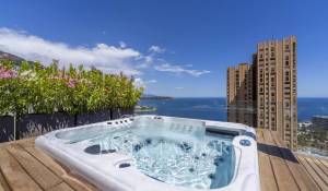Vente Villa sur toit Monaco