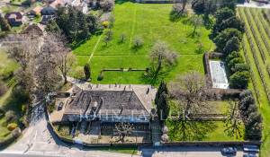 Vente Villa Tolochenaz