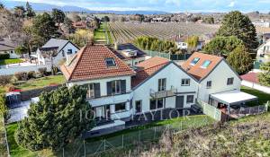 Vente Villa Tolochenaz