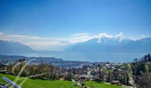 Vente Villa Vevey