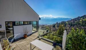 Vente Villa Vevey