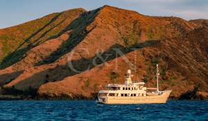 Vente Yacht 